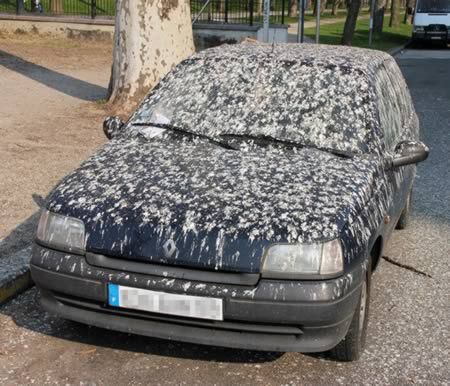 Los 18 momentos más desafortunados que fueron captados por las cámaras