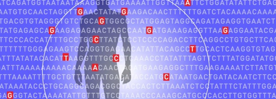 Éste es el test que predice el riesgo de cinco enfermedades que pueden ser mortales