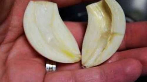 Beneficios del ajo