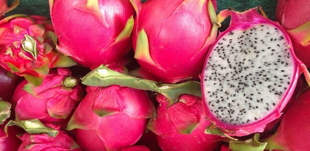 Beneficios de la Pitahaya.