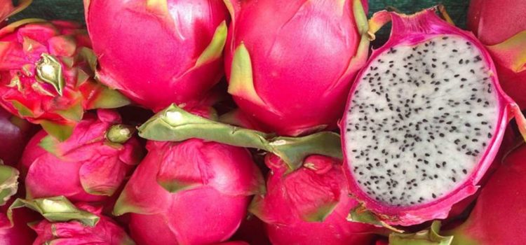 Beneficios de la Pitahaya.