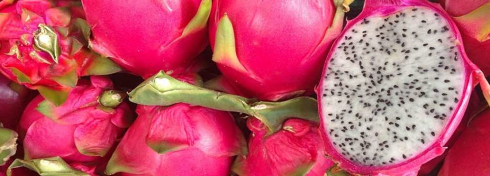 Beneficios de la Pitahaya.