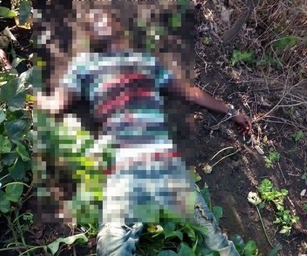 De varias estocadas, hombre mata a otro por unas batatas.