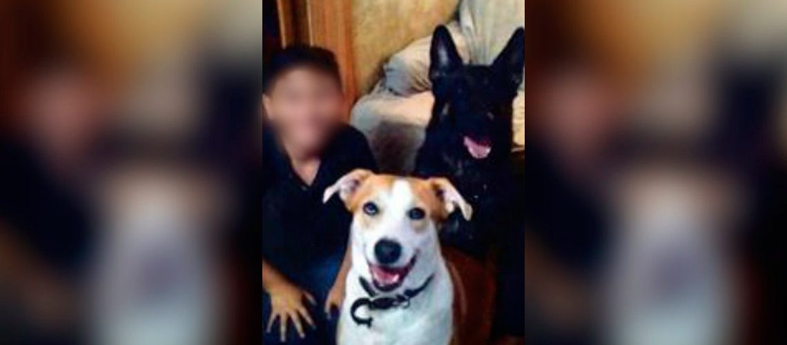 Un hombre mató de hambre y torturó a su hijo de 12 años: lo tenía atado con un collar de perro