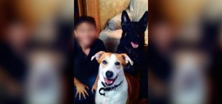 Un hombre mató de hambre y torturó a su hijo de 12 años: lo tenía atado con un collar de perro