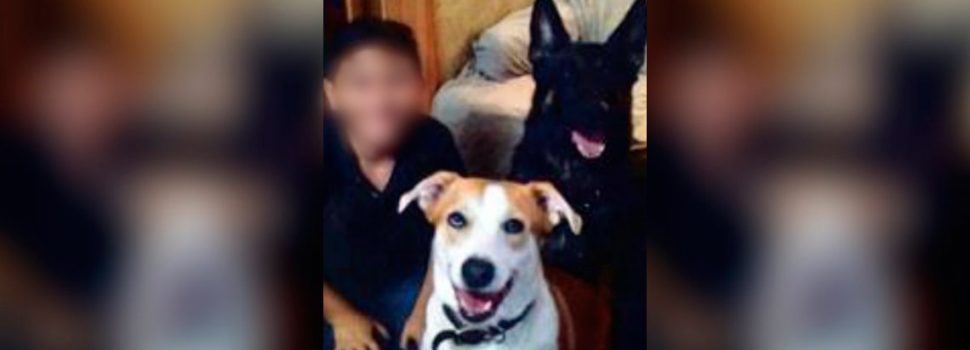 Un hombre mató de hambre y torturó a su hijo de 12 años: lo tenía atado con un collar de perro